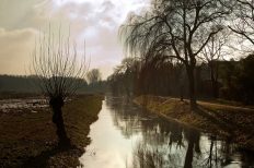 Image by Foto-RaBe from Pixabay