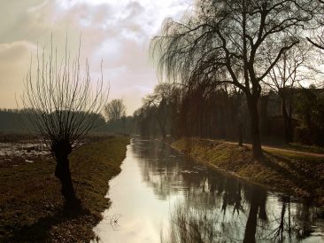 Image by Foto-RaBe from Pixabay