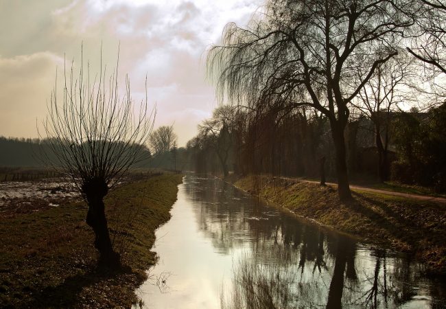 Image by Foto-RaBe from Pixabay