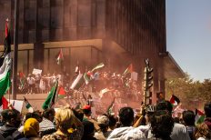 Photo by Chrisna Senatus: https://www.pexels.com/photo/people-protesting-with-palestinian-flags-7918088/