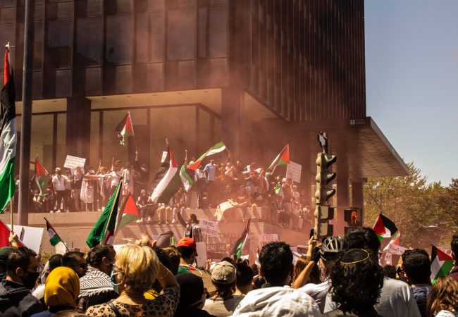 Photo by Chrisna Senatus: https://www.pexels.com/photo/people-protesting-with-palestinian-flags-7918088/