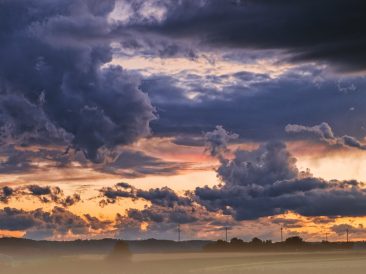 Image by Bruno /Germany from Pixabay