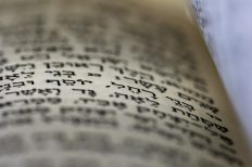 Image by Ri Butov from Pixabay