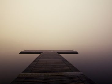 Image by SplitShire from Pixabay