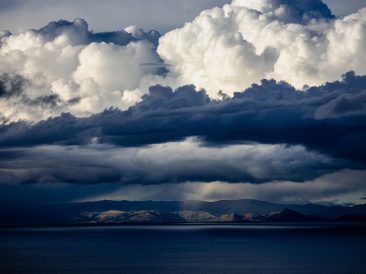 Image by Nathan De Cock from Pixabay