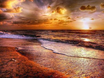 Image by kordula vahle from Pixabay