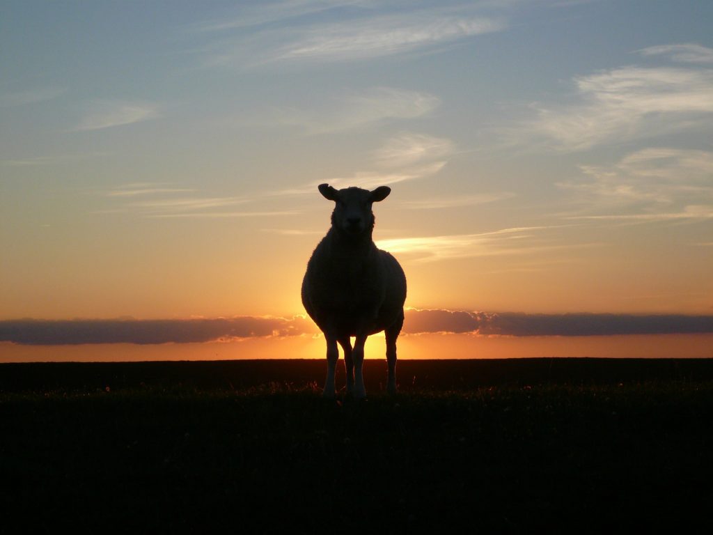 Image by Ben from Pixabay