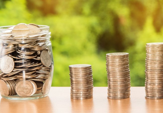 Image by Nattanan Kanchanaprat from Pixabay