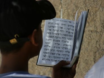 Image by Aleks from Pixabay