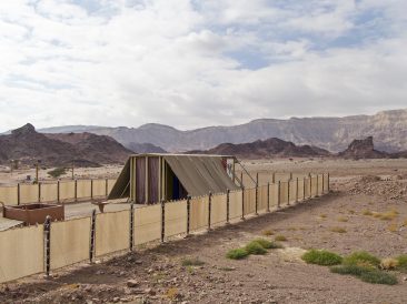 Image by Jim Black from Pixabay