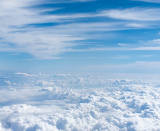 Photo by Taylor Van Riper on Unsplash