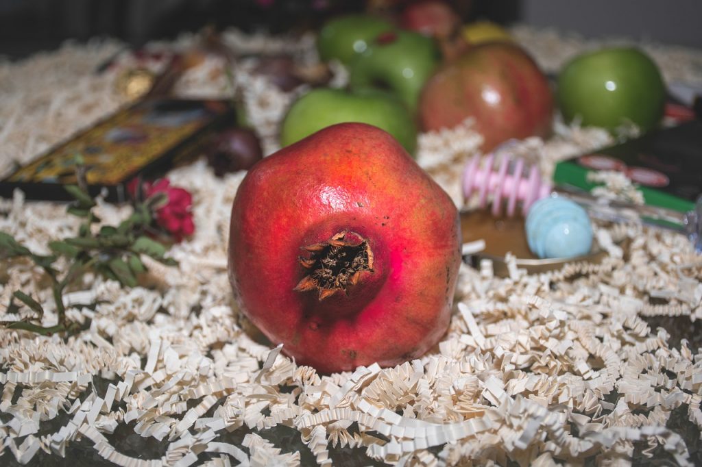 Image by Ri Butov from Pixabay