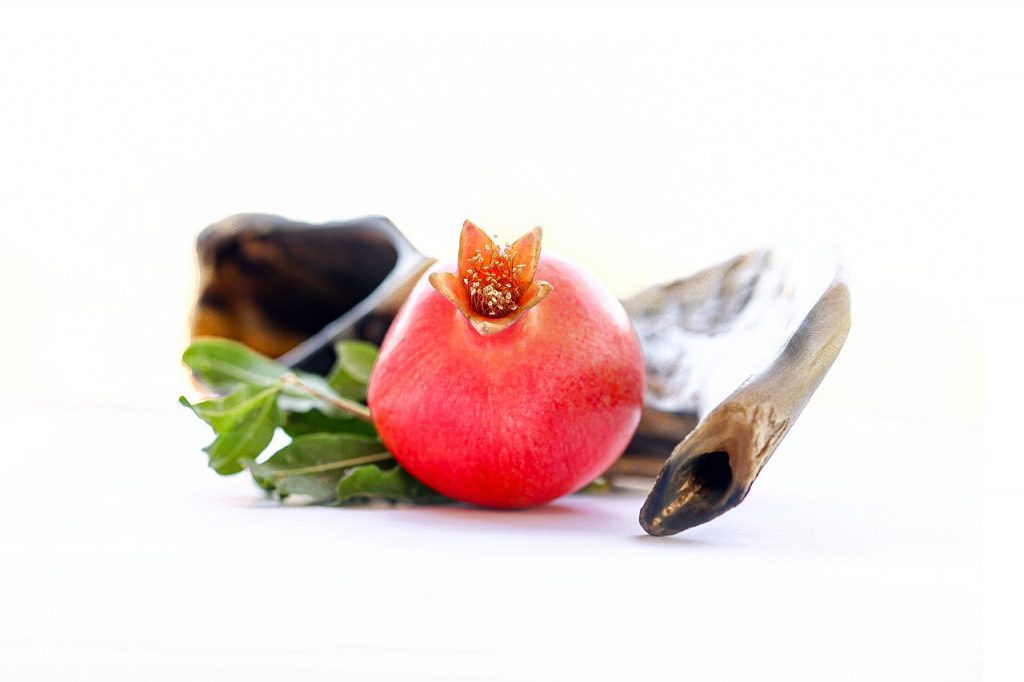 Image by א פ from Pixabay