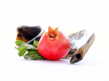 Image by א פ from Pixabay