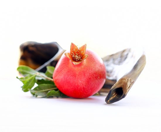 Image by א פ from Pixabay