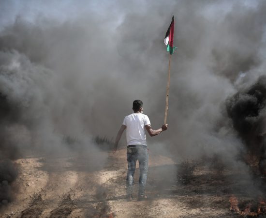 Image by hosny salah from Pixabay