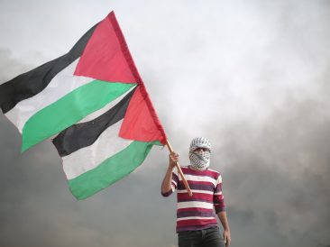 Image by hosny salah from Pixabay