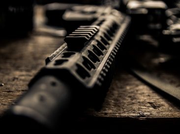 Image by Daniel S. from Pixabay