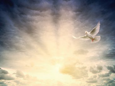 Image by Joe from Pixabay