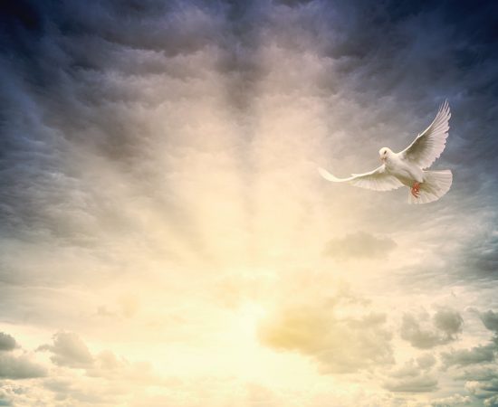 Image by Joe from Pixabay