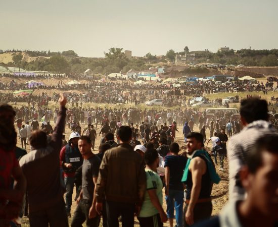 Image by hosny salah from Pixabay