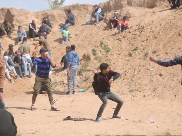 Image by hosny salah from Pixabay