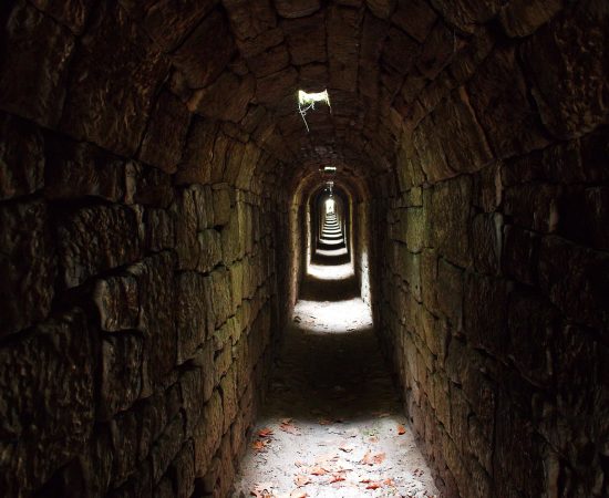 Image by Lutz Peter from Pixabay