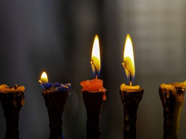 Image by Ri Butov from Pixabay