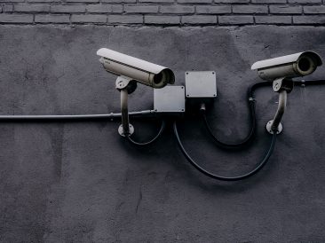 Image by Joseph Mucira from Pixabay