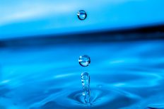 Image by Kai Vogel from Pixabay