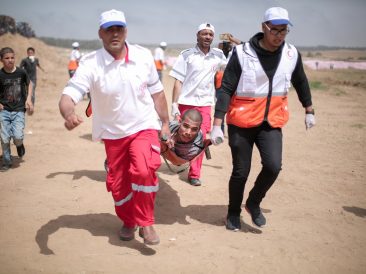 Image by hosny salah from Pixabay