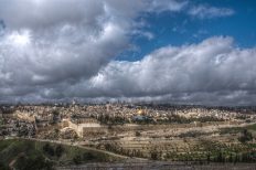 Image by Evgeni Tcherkasski from Pixabay