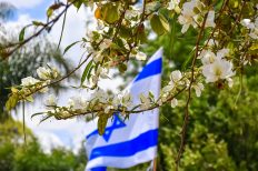 Image by Ri Butov from Pixabay