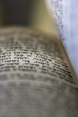 Image by Ri Butov from Pixabay