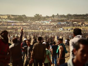 Image by hosny salah from Pixabay