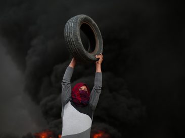 Image by hosny salah from Pixabay