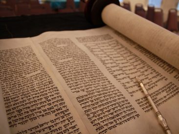 Image by nellyaltenburger from Pixabay