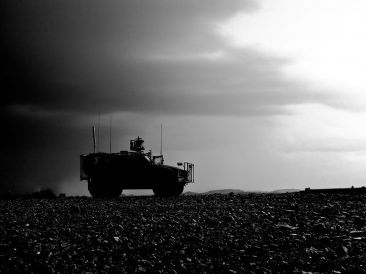 Image by Amber Clay from Pixabay