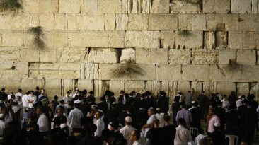 Image by Ben Burton from Pixabay