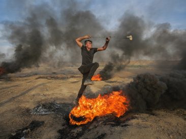 Image by hosny salah from Pixabay