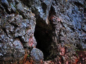 Image by Jerzy Górecki from Pixabay