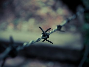 Image by Aryok Mateus from Pixabay