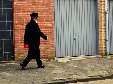 Image by 👀 Mabel Amber, who will one day from Pixabay