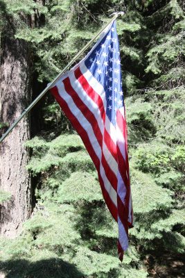 Image by steve548 from Pixabay