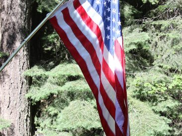 Image by steve548 from Pixabay