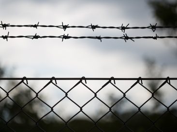 Image by 3557203 from Pixabay