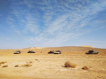 Image by Maksim Tikhonov from Pixabay