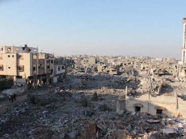 Image by hosny salah from Pixabay