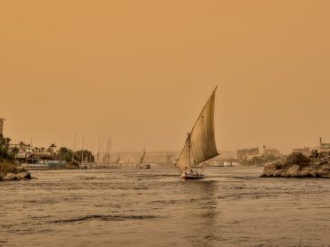 Image by Peggychoucair from Pixabay