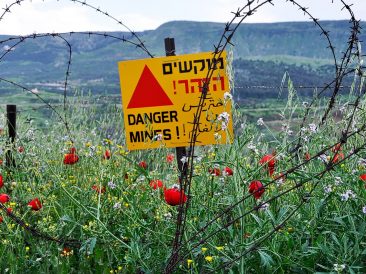 Image by David L from Pixabay